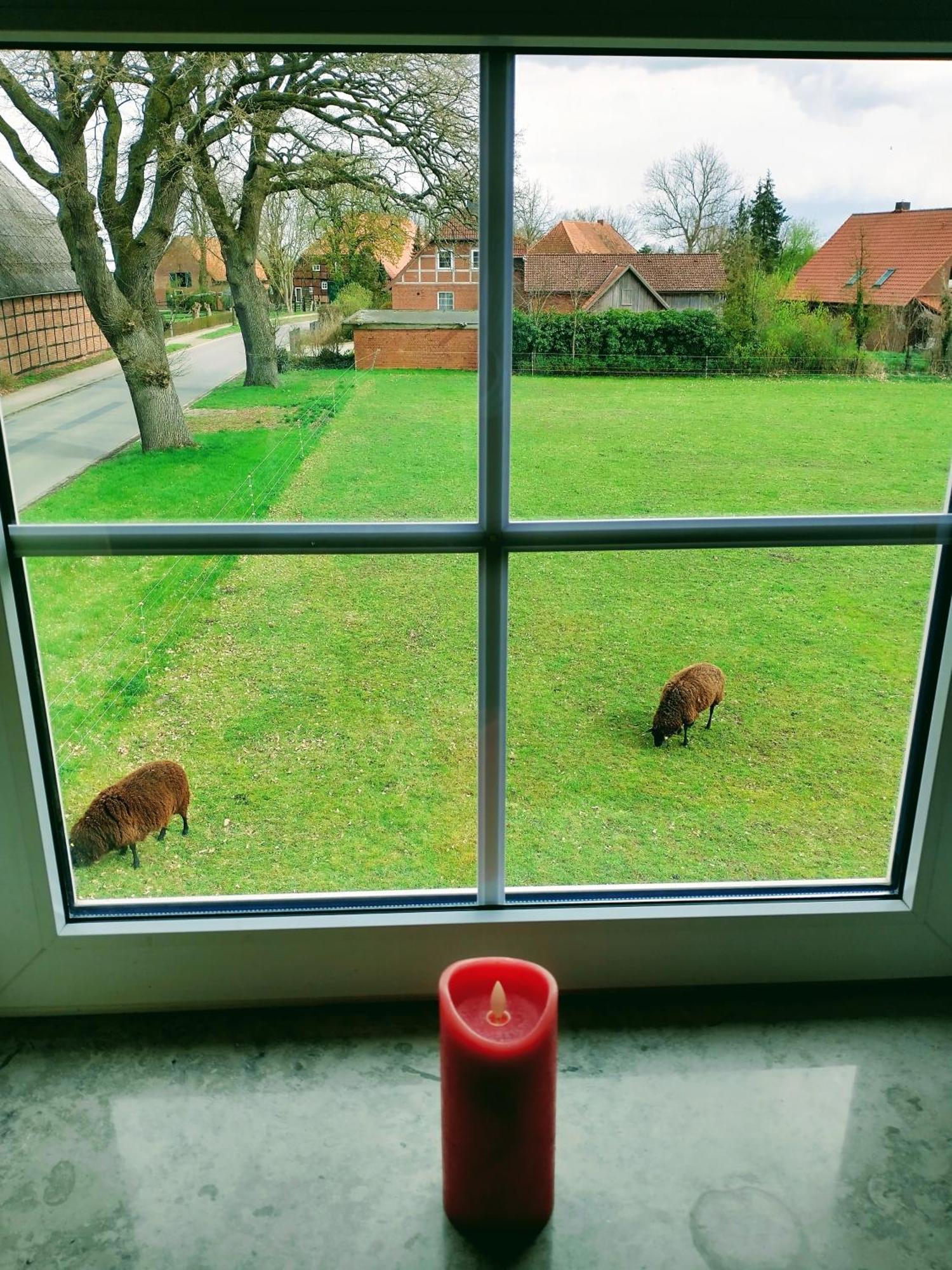 Ruhiges Exzellenz-Appartement Diana Im Elb-Urstromtal - Fast Wlan, Good For Long-Terms Bleckede Exterior foto